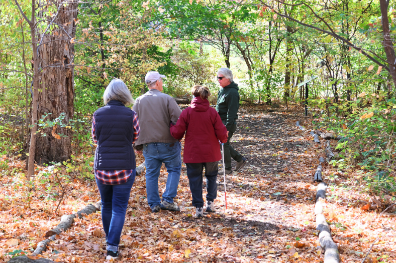 An image of four people walking through an outdoor path. The path is lined with trees and brown leaves are on the concrete path.